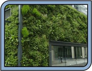 Greensulate living wall Greensulate living wall